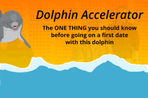 dophin-accelerator-ad